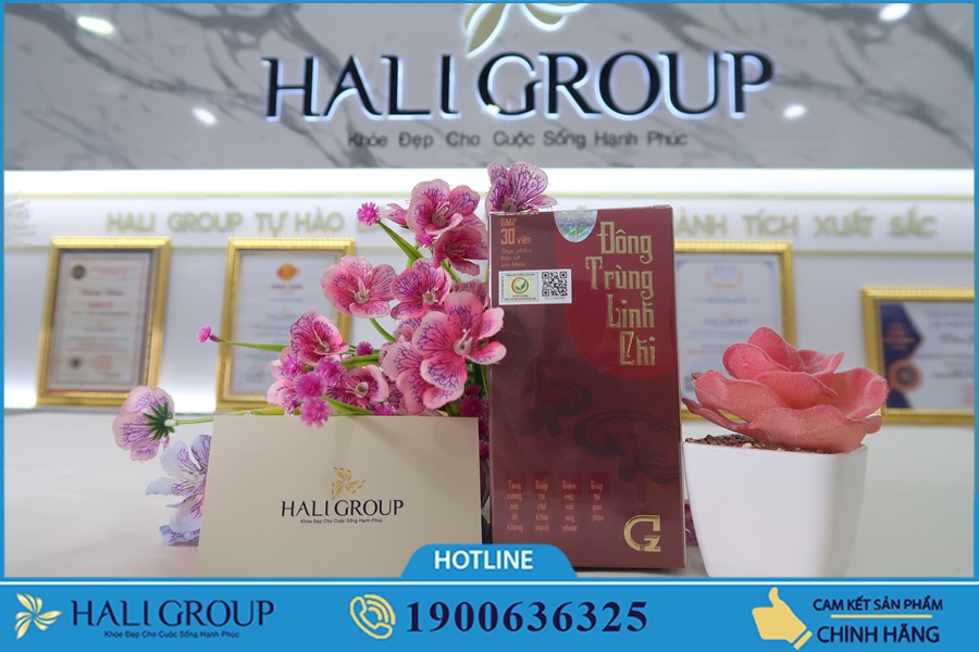 Viên cao đông trùng hạ thảo linh chi có tốt không?